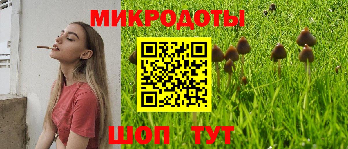 Псилоцибиновые грибы MAGIC MUSHROOMS  Псилоцибиновые грибы ЛСД  Муравленко  купить наркотики сайты  Вход с VPN 