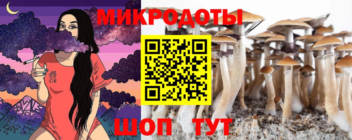 Галлюциногенные грибы Cubensis Муравленко